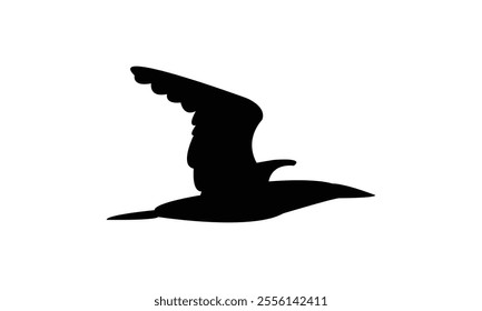 Flying Boobie Bird Silhouette Design  And Illustration. 