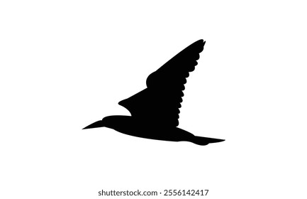 Flying Boobie Bird Silhouette Design  And Illustration. 