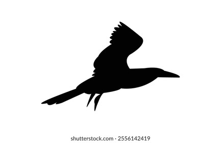 Flying Boobie Bird Silhouette Design  And Illustration. 