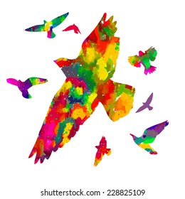 flying bright free birds.  Vector