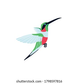 Colibrí tropical brillante volando. Hermoso pájaro con plumas y alas de colores. Elemento de diseño de la fauna y flora tropical ilustración vectorial aislada en fondo blanco