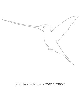 Flying bright tropical hummingbird. Beautiful bird with outline. Tropical nature wildlife design element cartoon vector