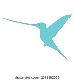 Flying bright tropical hummingbird. Beautiful bird with outline. Tropical nature wildlife design element cartoon vector 