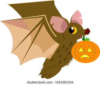 A flying brown fluffy vampire bat with a small pumpkin, funny halloween vector illustration isolated on the white background