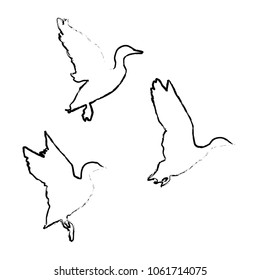 Flying brushed ducks. Isolated wild birds  silhouette of flying birds. Vector illustration for World Migratory Bird Day