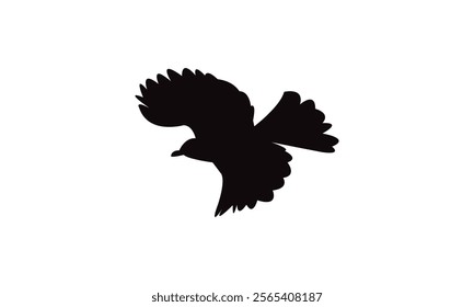 Flying Bulbul Bird Silhouette Design  And Vector Illustration. 