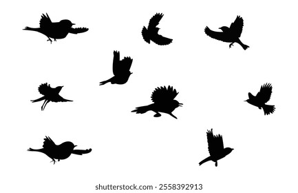 Flying Bush Warbler Bird Silhouette Design  And Vector Illustration. 