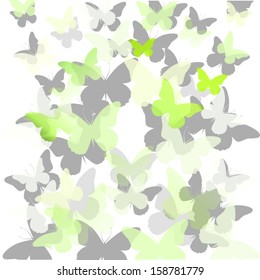 flying butterflies
