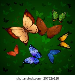 Flying butterflies