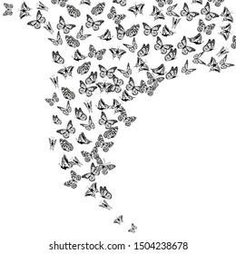 A lot of flying butterflies. Abstract butterflies pattern. Vector illustration