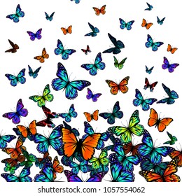 Flying Butterflies Background. Vector