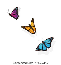 FLYING BUTTERFLIES. Botanical freedom graphic elements. Vector file.