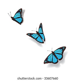 FLYING BUTTERFLIES. Botanical freedom graphic elements. Vector file.