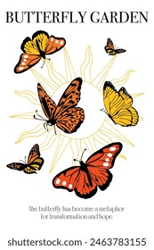 Flying butterflies, Butterfly Garden, Butterfly isolated in line drawing sun, Colorful Butterfly vector stock, Monarch orange Butterflies flaying, Flat butterflies flying background