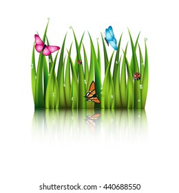 Flying butterflies by the grass with theirs reflection in the water.