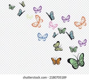 Flying butterflies. Colorful butterfly isolated on transparent background. Spring and summer insects vector illustration. Butterfly summer and spring insect, flying animal