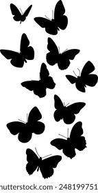 Flying Butterflies Digital EPs Vector graphics File