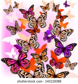 flying butterflies with hearts on wings