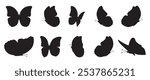 Flying butterflies icon symbols black silhouette vector set. Various butterflies black shapes set. Design element for print, icon, tattoo. fireflies and butterflies icons isolated on white background.