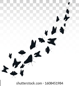 Flying butterflies isolated on transparent background.Butterflies in Motion. Banner with butterflies. Icon set. Vector illustration.