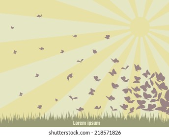 flying butterflies on a green landscape with sun