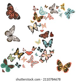 a lot of flying butterflies on a white background, isolated, vector