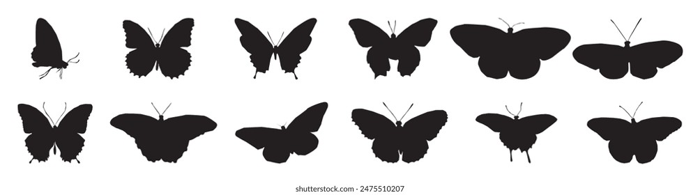 Conjunto de mariposas voladoras silueta negro aislado sobre fondo blanco.Ilustración vectorial.