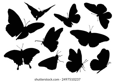 Flying butterflies silhouette black set isolated on white background. Set of butterfly in flight silhouettes. Set of butterflies. Butterfly silhouette icons set. Butterfly tattoo silhouettes.