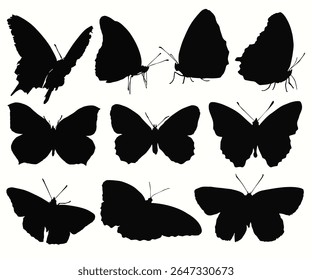 Flying butterflies silhouette black set isolated on white background. Set of realistic butterfly in flight silhouettes. Set of butterflies. Butterfly silhouette icons. Butterfly tattoo silhouettes.