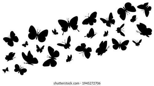 Flying butterflies silhouettes. Butterflies in flight. Butterfly seamless border. Black forest and garden insects vector illustration. Decorative elements on white for design.