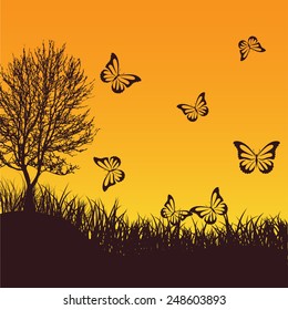 Flying butterflies at sunset. Summer composition for design vector
