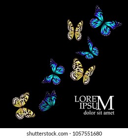 Flying Butterflies. Vector