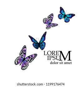 Flying butterflies. Vector