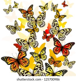 flying butterflies. vector