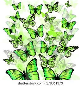 flying butterflies . Vector