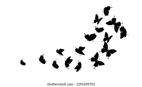 Flying butterflies. Vector decoration element.