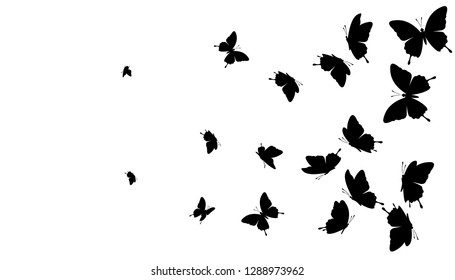 Flying butterflies. Vector decoration silhouettes.