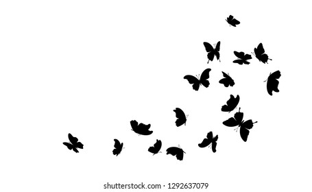 Flying butterflies. Vector design element.