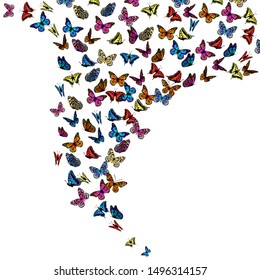 A lot of flying butterflies. Vector illustration