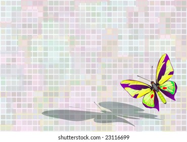 flying butterfly