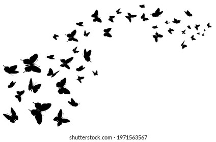 Flying butterfly. Black silhouette butterflies group. Cute wedding love, summer and spring symbol, tattoo graphic design isolated vector concept. Wildlife elements decoration, moths flight