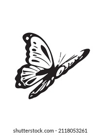 Flying butterfly design vector illustration icon on black and white background