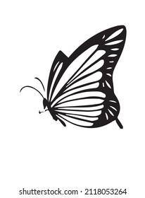 Flying butterfly design vector illustration icon on black and white background