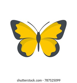 Flying butterfly icon. Flat illustration of flying butterfly vector icon isolated on white background