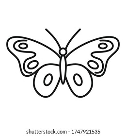 Flying butterfly icon. Outline flying butterfly vector icon for web design isolated on white background