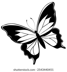 flying butterfly silhouette on white isolated