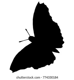 A flying butterfly. A sketch of the Butterfly with spread wings. Black silhouette of a butterfly. Vector illustration.