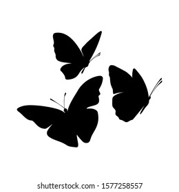 Flying butterfly vector background. Abstract texture for fabric, textile, apparel.