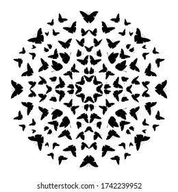 Flying butterfly vector background. Abstract texture for fabric, textile, apparel