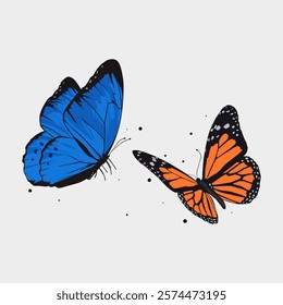 flying butterfly vector illustration. blue and orange butterfly. For design elements